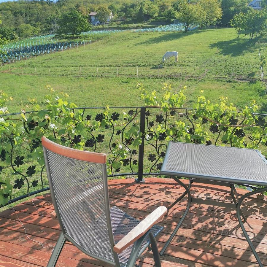 Villa Izabella Badacsonytördemic Dış mekan fotoğraf