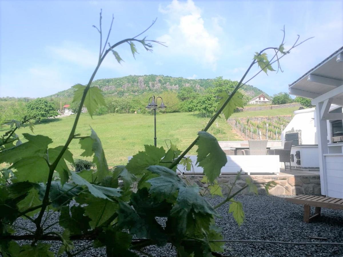Villa Izabella Badacsonytördemic Dış mekan fotoğraf