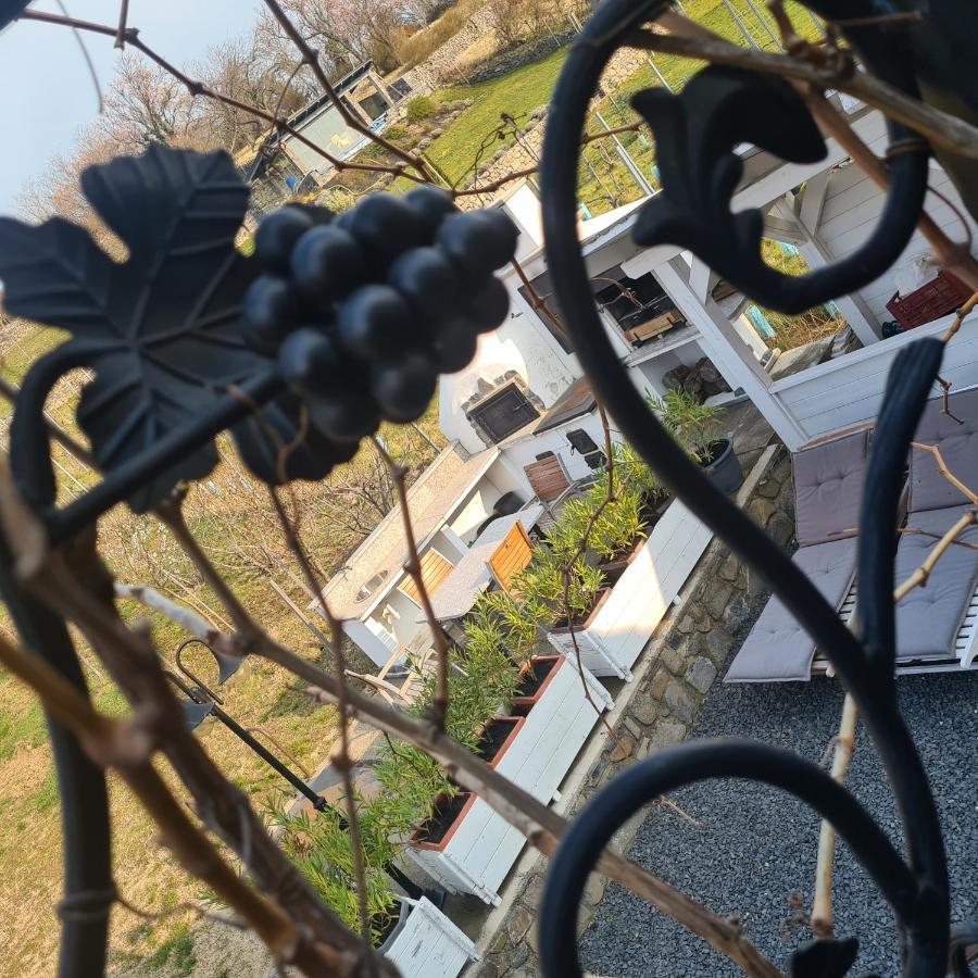 Villa Izabella Badacsonytördemic Dış mekan fotoğraf