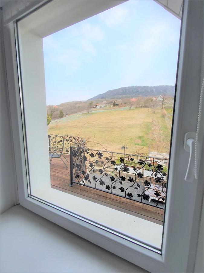 Villa Izabella Badacsonytördemic Dış mekan fotoğraf