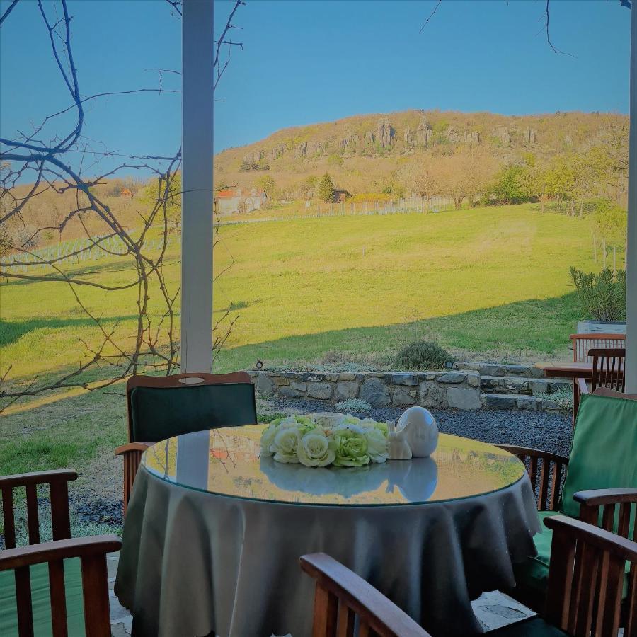 Villa Izabella Badacsonytördemic Dış mekan fotoğraf