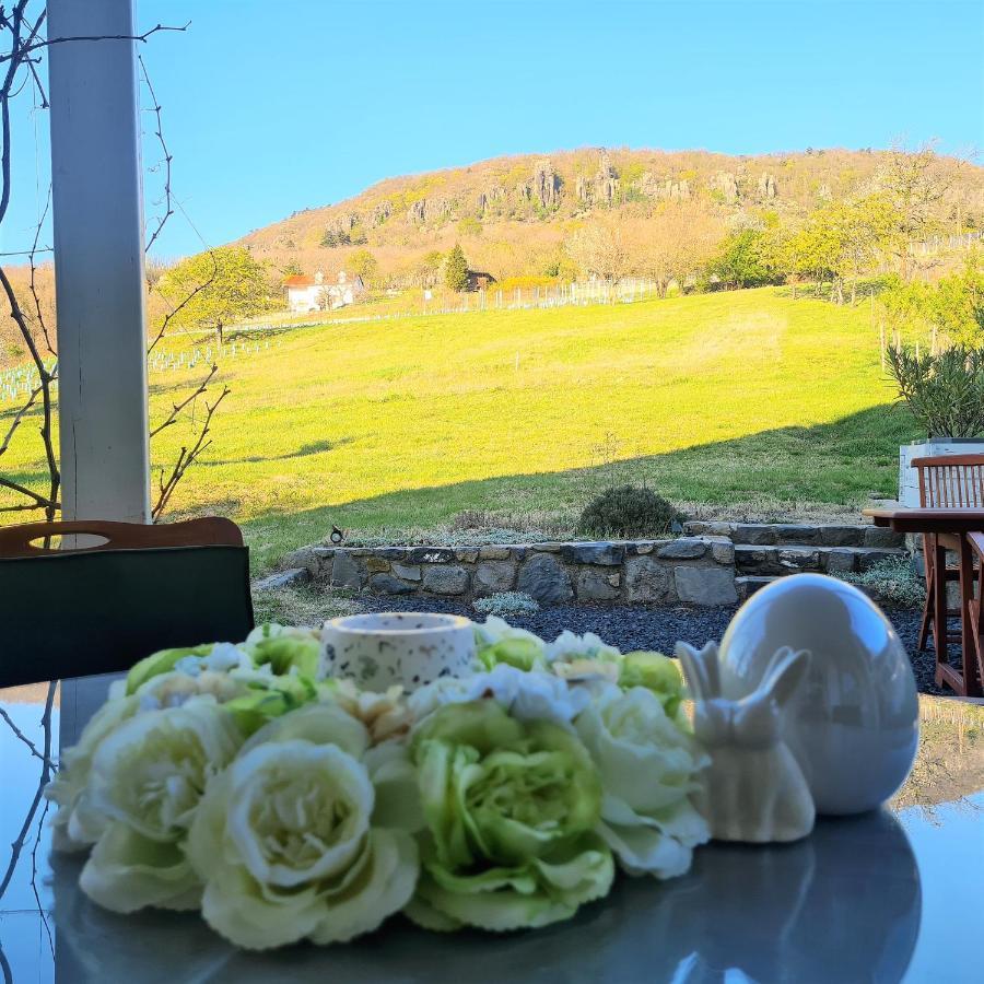 Villa Izabella Badacsonytördemic Dış mekan fotoğraf