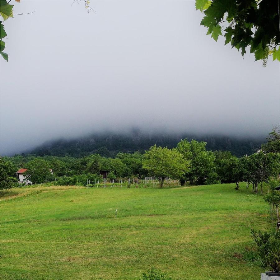 Villa Izabella Badacsonytördemic Dış mekan fotoğraf
